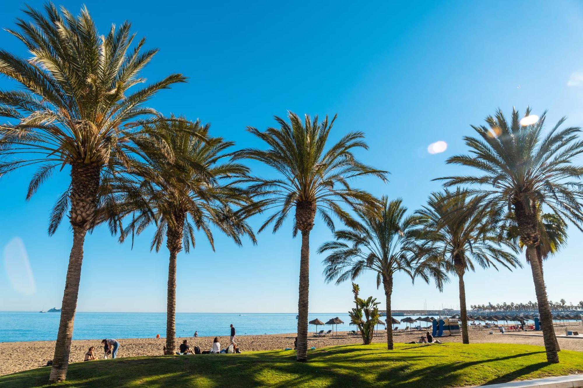 Your Home In Malaga Centro & Parking Free Exterior foto